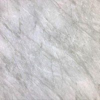 cs1000gm_grey
